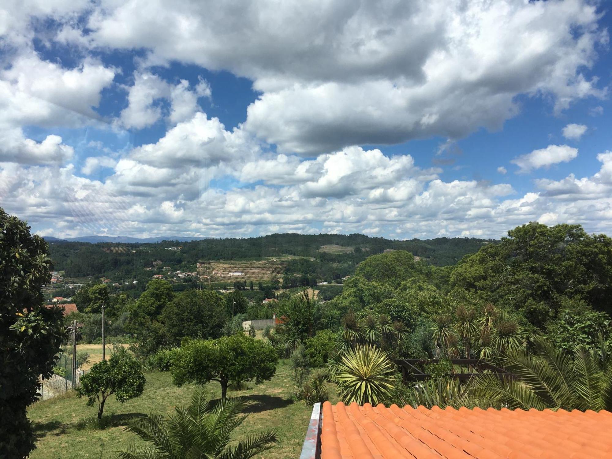 Quinta De Mocamedes - Turismo De Habitacao 호텔 부젤라 외부 사진
