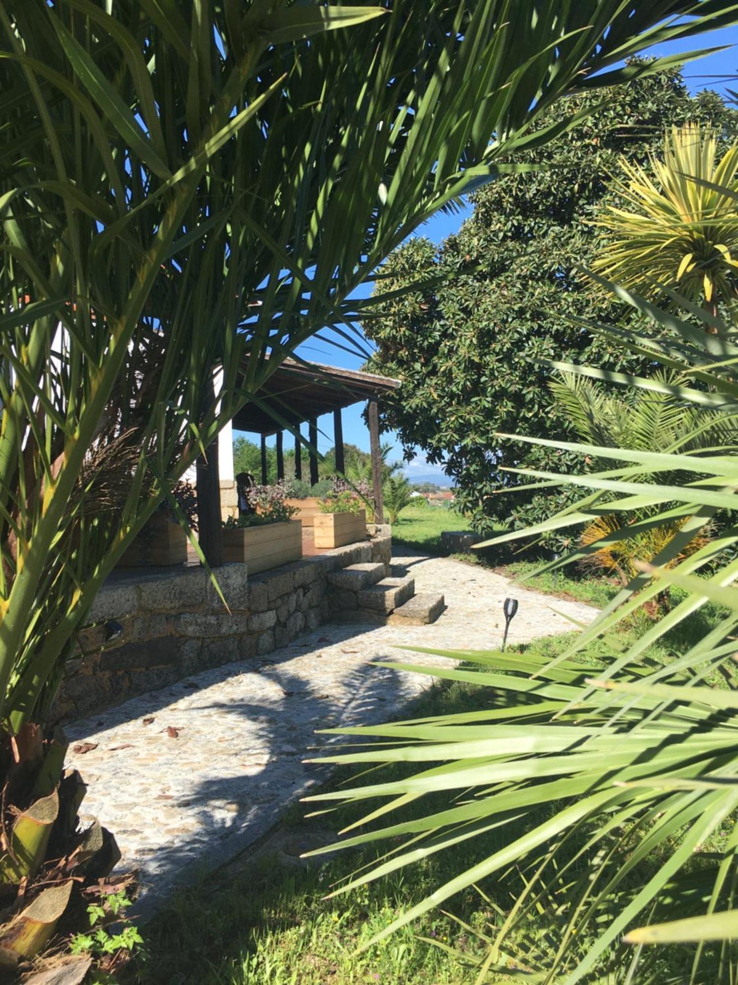 Quinta De Mocamedes - Turismo De Habitacao 호텔 부젤라 외부 사진