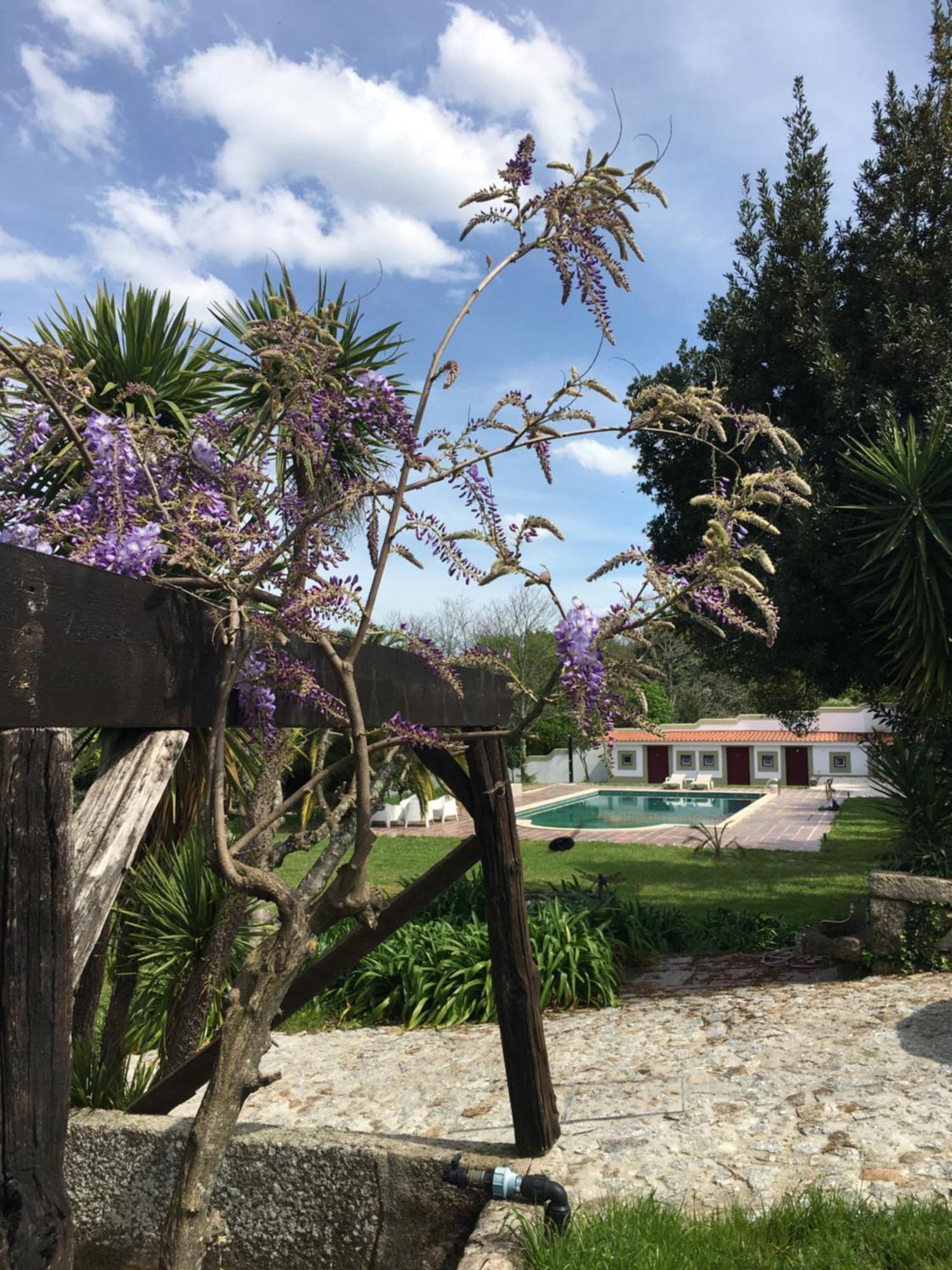 Quinta De Mocamedes - Turismo De Habitacao 호텔 부젤라 외부 사진